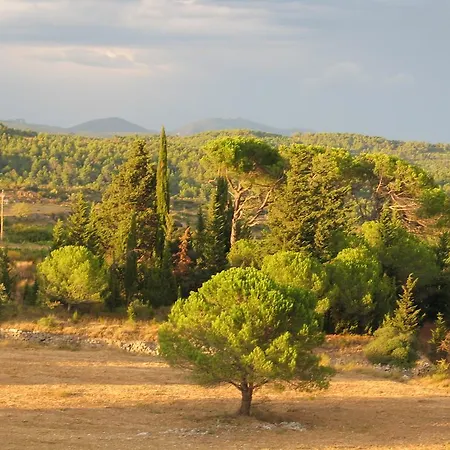 Les Romarins * Aigne